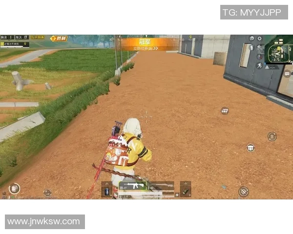 BLG在和平精英赛场的奋斗历程与成长蜕变全记录 BLG在和平精英赛场的奋斗历程与成长蜕变全记录